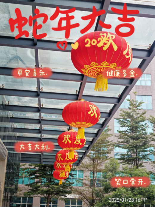 靈蛇舞動(dòng)迎新春，喜氣洋洋滿乾坤